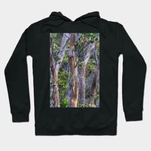 Gums Hoodie